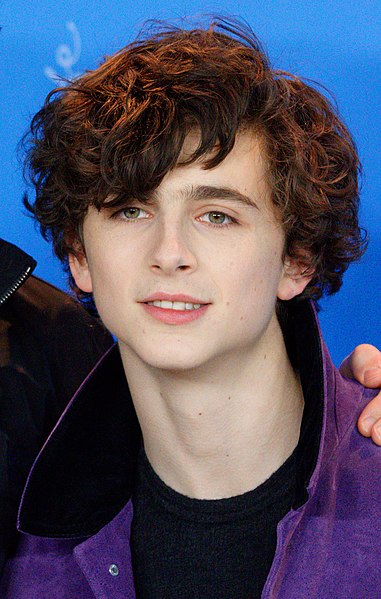 Timothée Chalamet with Long Curly Hair for Men: The Ultimate Guide to Embracing Your Curls